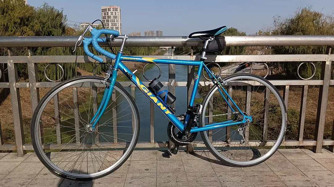 捷安特Speeder X.webp