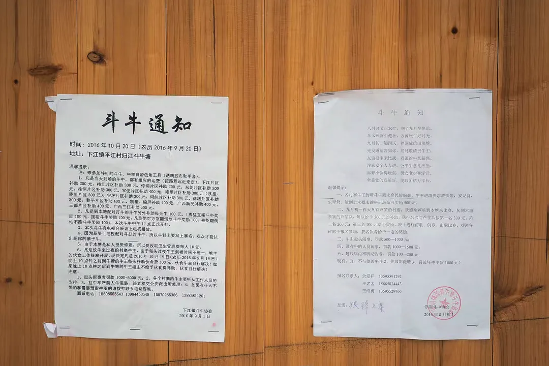 斗牛通知.webp