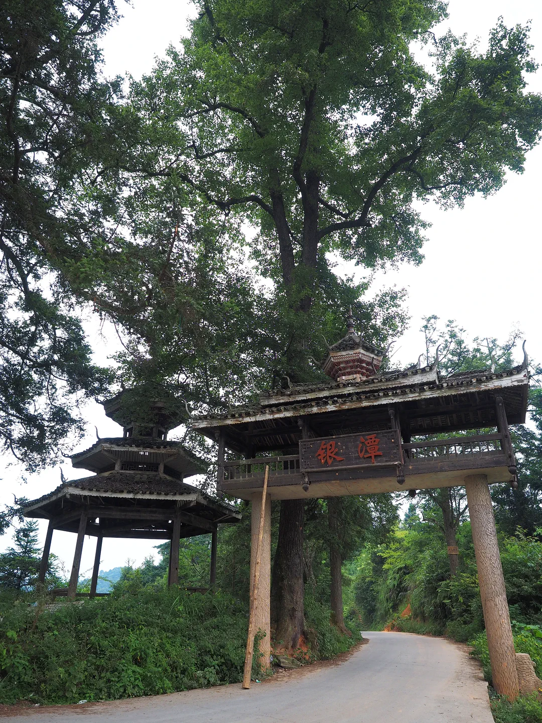 银潭侗寨 (1).webp