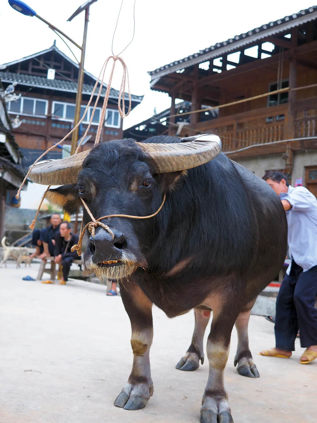 银潭侗寨 (3).webp