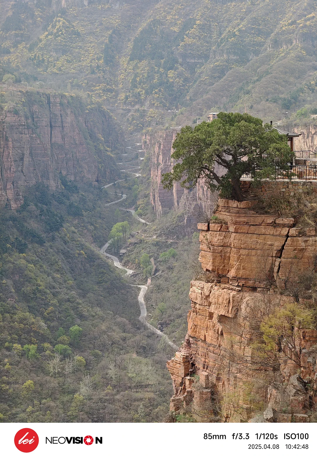 反穿齐王寨 (1).webp