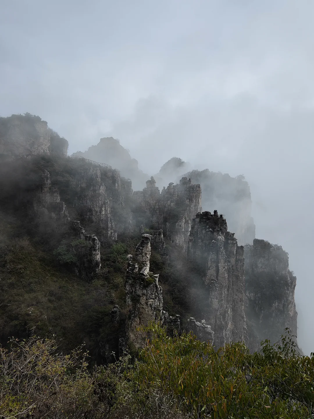 王莽岭北石林.webp 王莽岭北石林.webp