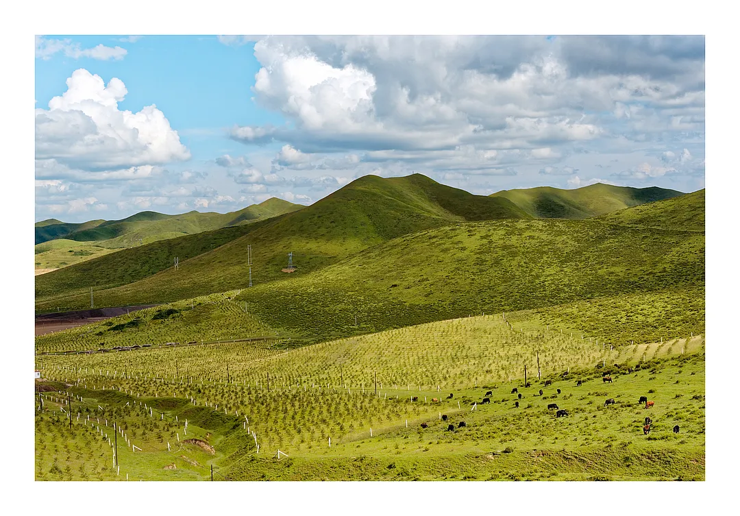 松潘草原.webp 松潘草原.webp