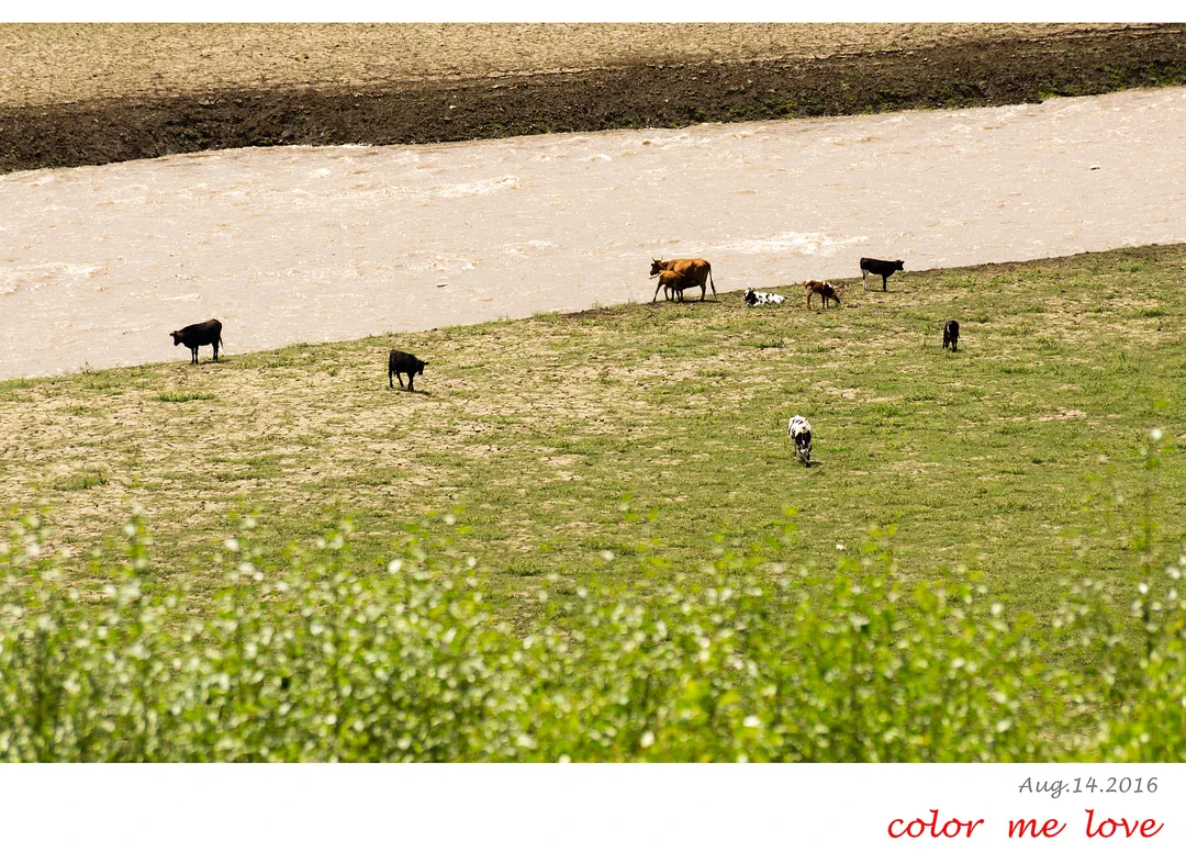 魅力大通 (1).webp